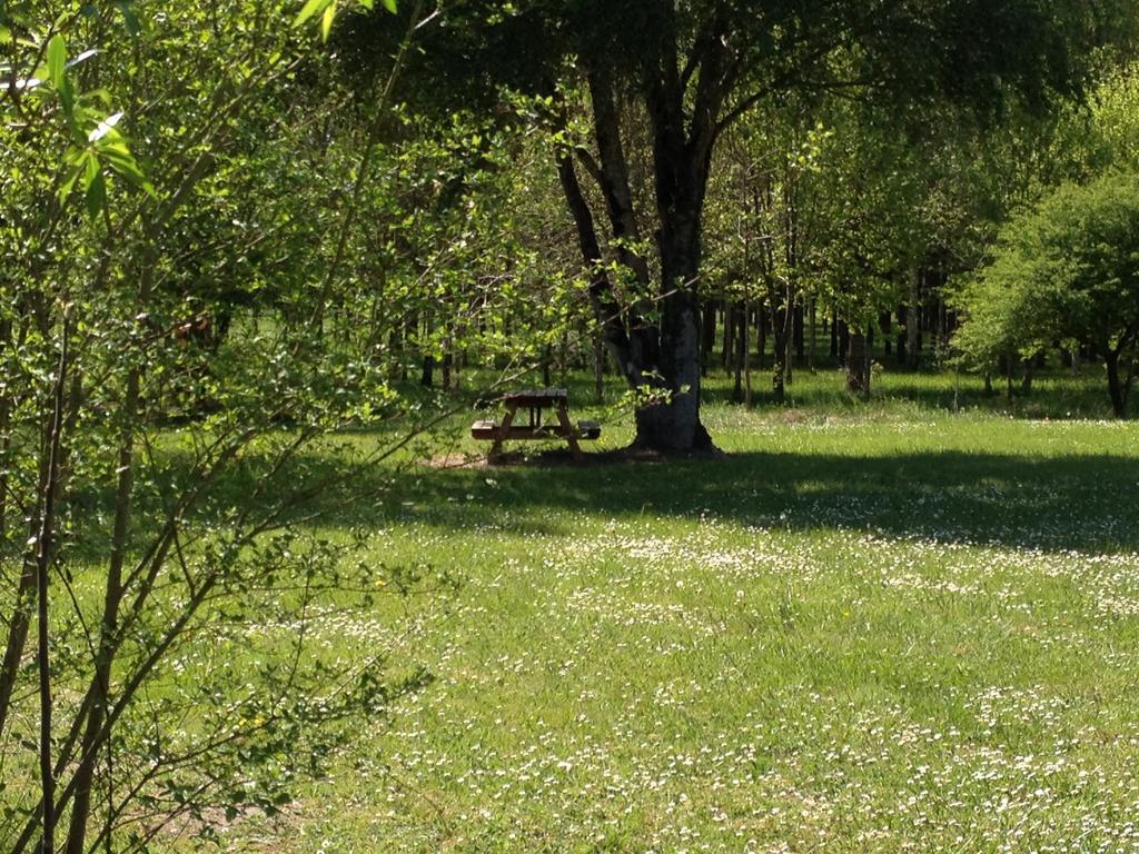La Marelle Bed & Breakfast Avrillé-les-Ponceaux Oda fotoğraf