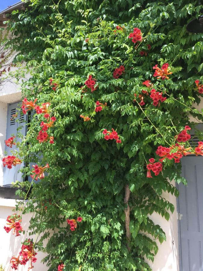 La Marelle Bed & Breakfast Avrillé-les-Ponceaux Dış mekan fotoğraf